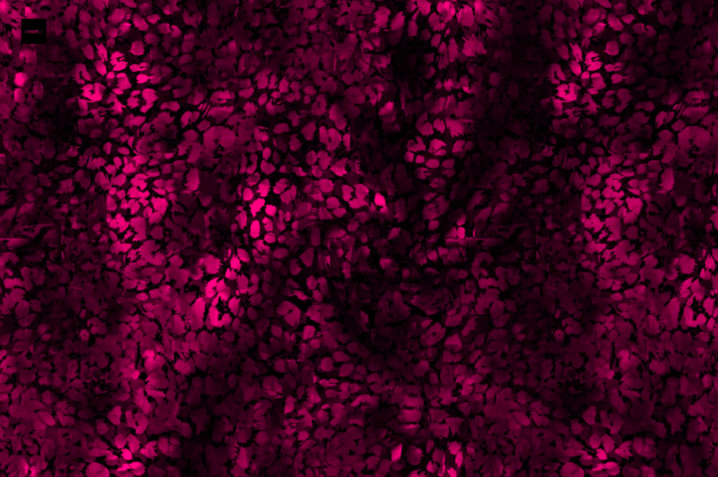 Pink Leo Neon Dauervorbestellung